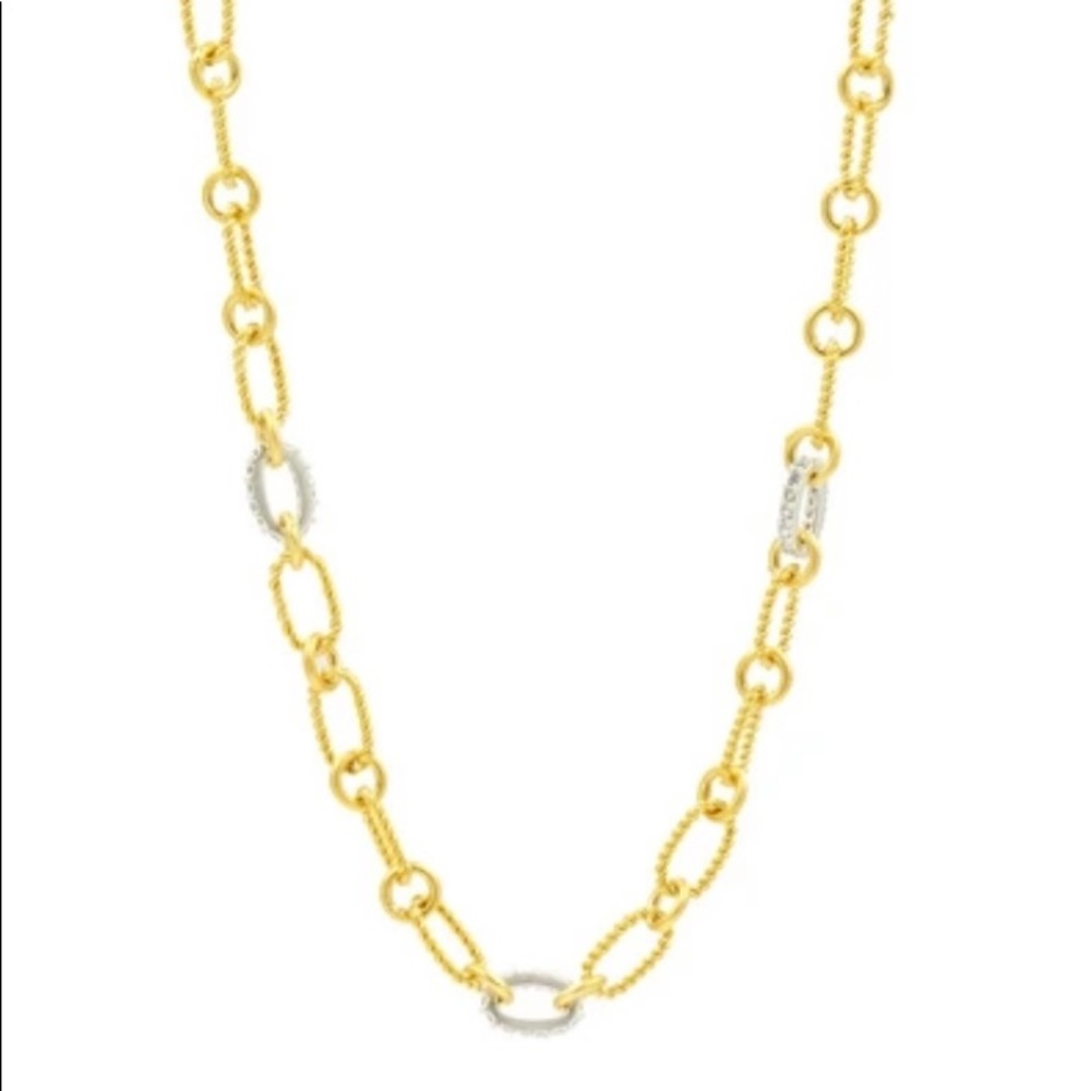 Freida Rothman Two Tone Chain Link Necklace